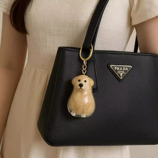 Pet Hair Collection Transparent Box with Key Storage for Cats and Dogs